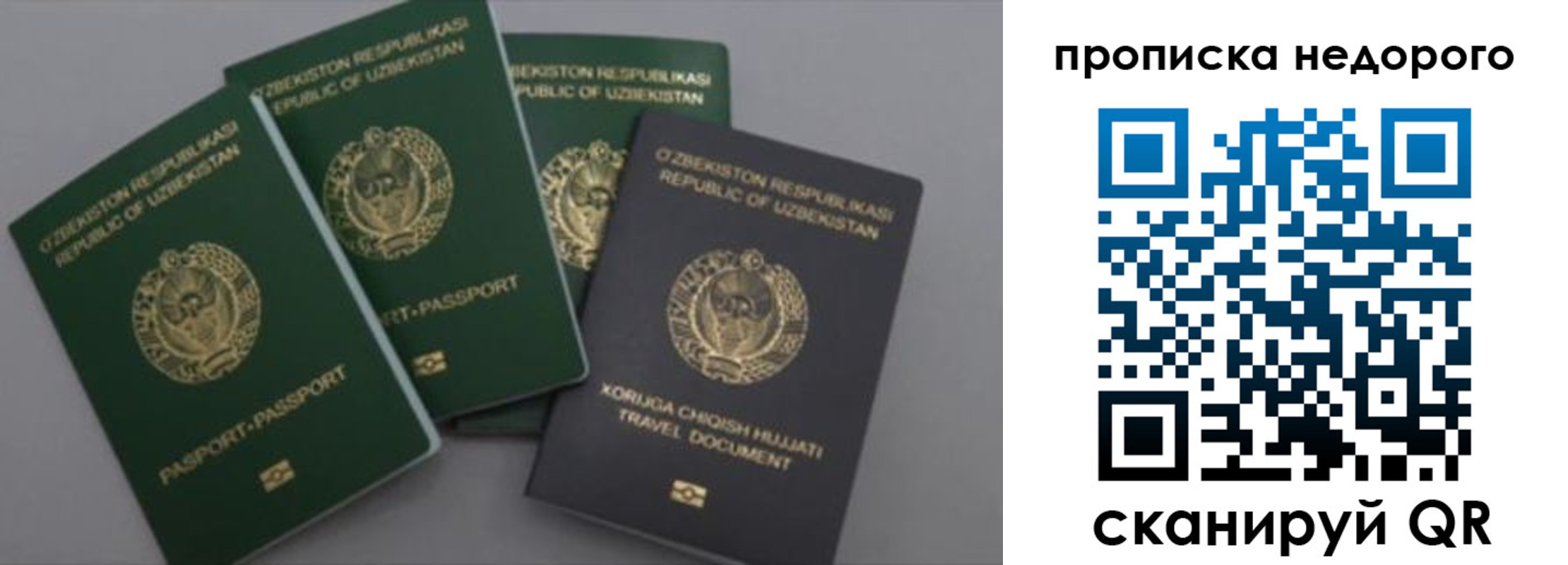 регистрация для школы в Жердевке